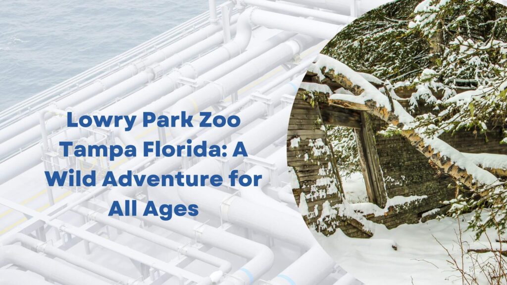 Lowry Park Zoo Tampa Florida A Wild Adventure for All Ages