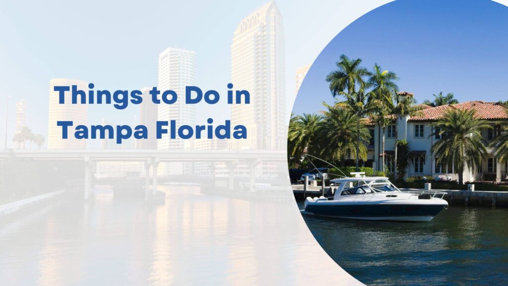 Things to Do in Tampa Florida
