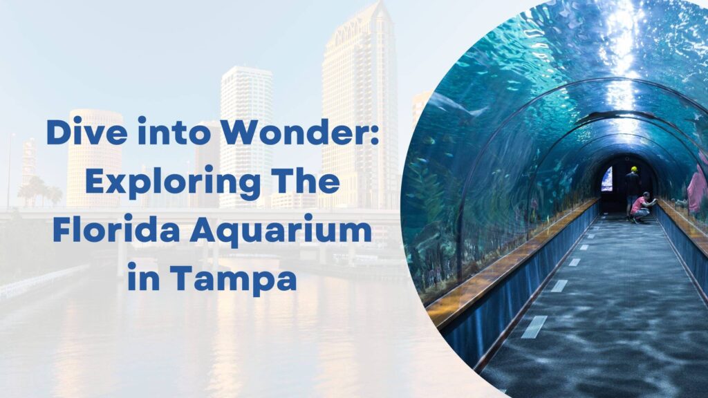 Dive into Wonder: Exploring The Florida Aquarium in Tampa