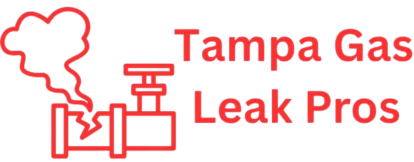 Tampa Gas Leak Pros